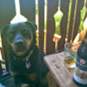 Meet your Posher, Todd